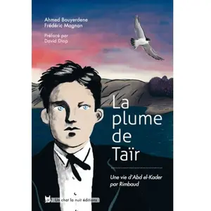 Un Chat La Nuit La plume de Taïr pas cher