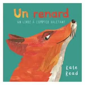 Kaleidoscope Un renard pas cher