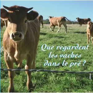 Thierry Magnier Eds Que regardent les vaches dans le pré ? pas cher