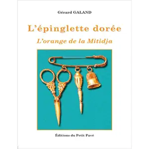 Du Petit Pave Eds L'épinglette dorée pas cher