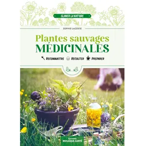 Mosaïque Santé Plantes sauvages médicinales pas cher
