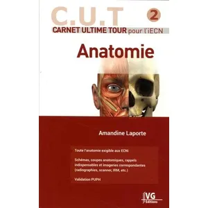 Grego Anatomie pas cher