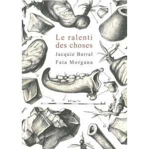 Fata Morgana Le ralenti des choses