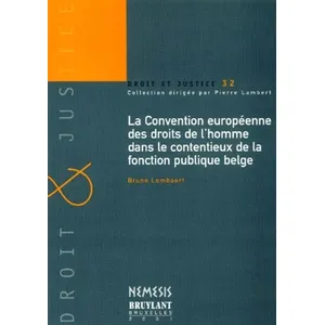 Bruylant La Convention Europeenne Des Droits De L'homme Dans Le Contentieux De La Fonction Publique Belge pas cher