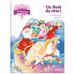 Play Bac Eds Un Noël de rêve !