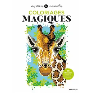 Marabout Coloriages magiques pas cher