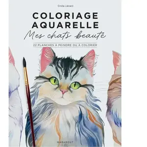 Mes Chats Beautés