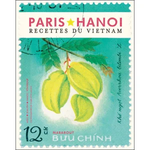 Paris-Hanoi recettes du Vietnam - Restaurant Paris-Hanoi pas cher
