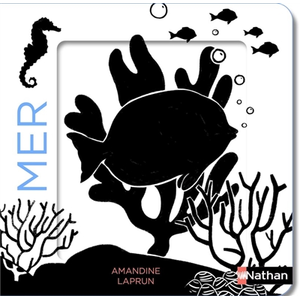 ISBN Nathan Mer pas cher