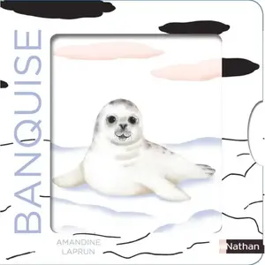 ISBN Nathan Banquise pas cher