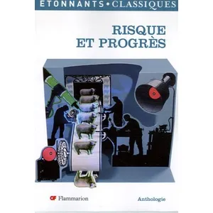 Flammarion Risque Et Progrès pas cher
