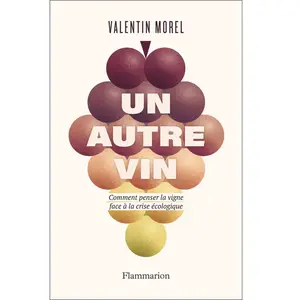 ISBN Flammarion Un autre vin pas cher