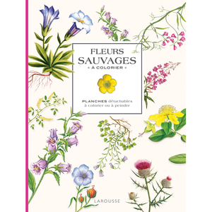 Larousse Fleurs sauvages à colorier pas cher