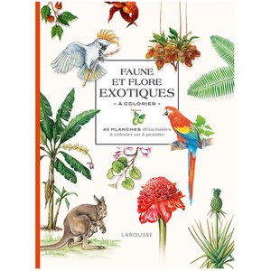 Larousse Faune et flore exotiques à colorier pas cher