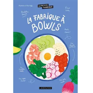 Larousse La fabrique à bowls pas cher