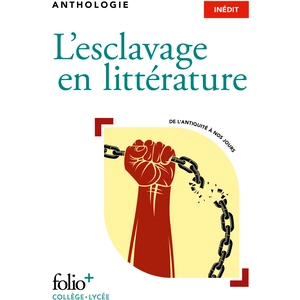 Comparateur de prix : Gallimard L’esclavage en littérature: De l'Antiquité au XXIe siècle