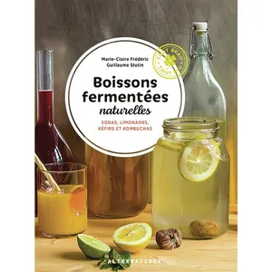Alternatives Boissons fermentées naturelles: Sodas, limonades, kéfirs et kombuchas pas cher
