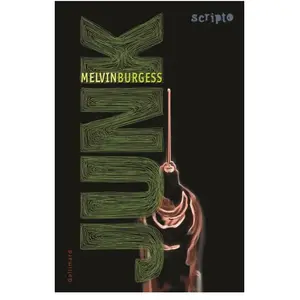 ISBN Gallimard jeunesse Junk pas cher