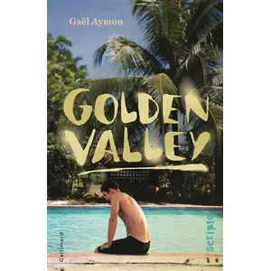 ISBN Golden Valley pas cher