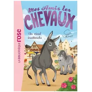 Hachette Jeunesse Mes amis les chevaux Tome 4 pas cher