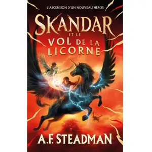 Hachette Romans Skandar et le vol de la licorne pas cher
