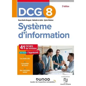 Dunod Système D'information Dcg 8 - Fiches De Révision pas cher