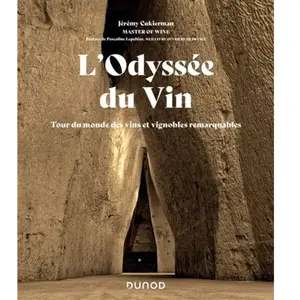 Dunod L'Odyssée du Vin pas cher