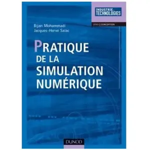 Dunod Pratique De La Simulation Numérique pas cher