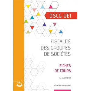Corroy Eds Fiscalité Des Groupes De Sociétés Dscg Ue 1 - Fiches De Cours pas cher