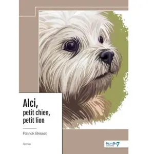 Nombre 7 Alci, petit chien, petit lion pas cher