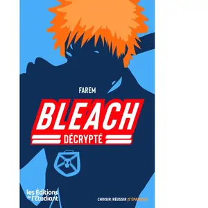 Bleach Décrypté pas cher