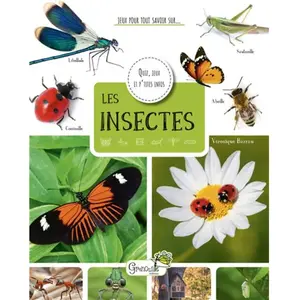 Grenouille Les insectes pas cher