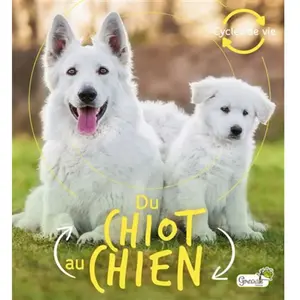 Grenouille Du chiot au chien pas cher
