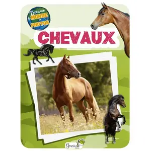 Grenouille Chevaux pas cher