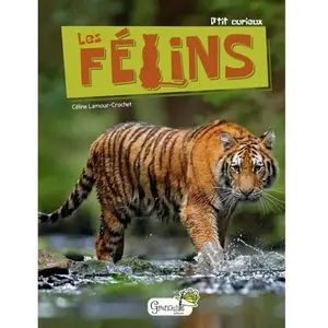 Grenouille Les félins pas cher