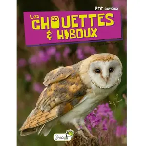 Grenouille Les Chouettes & Hiboux pas cher