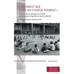 Teraedre Ils Disent Que C'est Un Collège Poubelle - Construire Son Parcours À L'école Entre Histoire Singulière Et Récits Collectifs pas cher