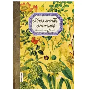 Mes Recettes Sauvages - Feuilles, Fleurs, Fruits pas cher