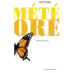 ISBN Actes Sud Jeunesse Météore pas cher