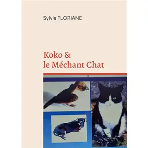Koko Et Le Méchant Chat pas cher