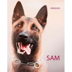 Sam