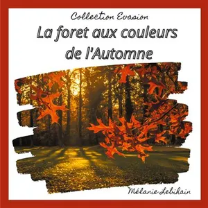 La Forêt Aux Couleurs De L'automne pas cher