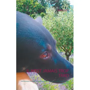 Books on Demand Il n'est jamais trop tard pas cher