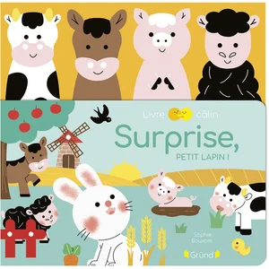ISBN Surprise, Petit Lapin ! pas cher
