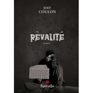 Spinelle Eds Rêvalité pas cher