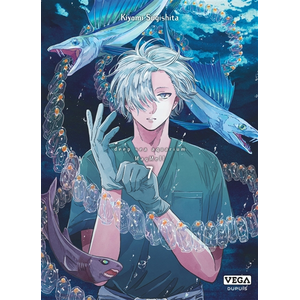 Vega-Dupuis Seinen pas cher