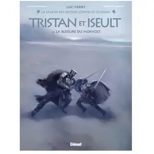 Comparateur de prix : Tristan Et Iseult - Tome 2 - La Blessure Du Morholt