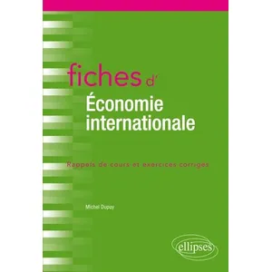 Ellipses Fiches D'économie Internationale - Rappels De Cours Et Exercices Corrigés pas cher