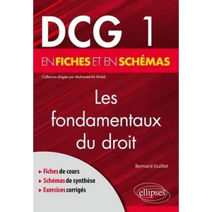 Ellipses Dcg 1 Les Fondamentaux Du Droit En Fiches Et En Schémas pas cher