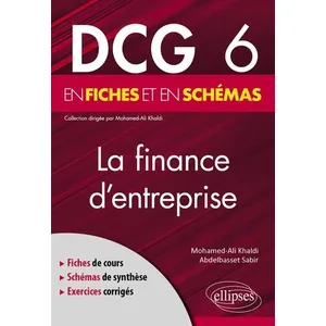 Ellipses La Finance D'entreprise En Fiches Et En Schémas Dcg 6 pas cher